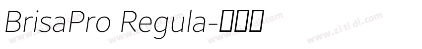 BrisaPro Regula字体转换 BrisaPro Regula字体转换